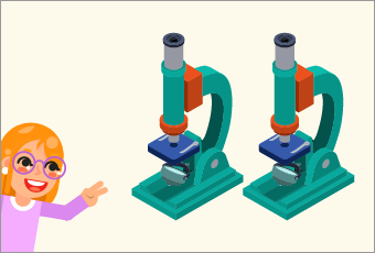 Typing Lessons | Inserting Images - Typing.com